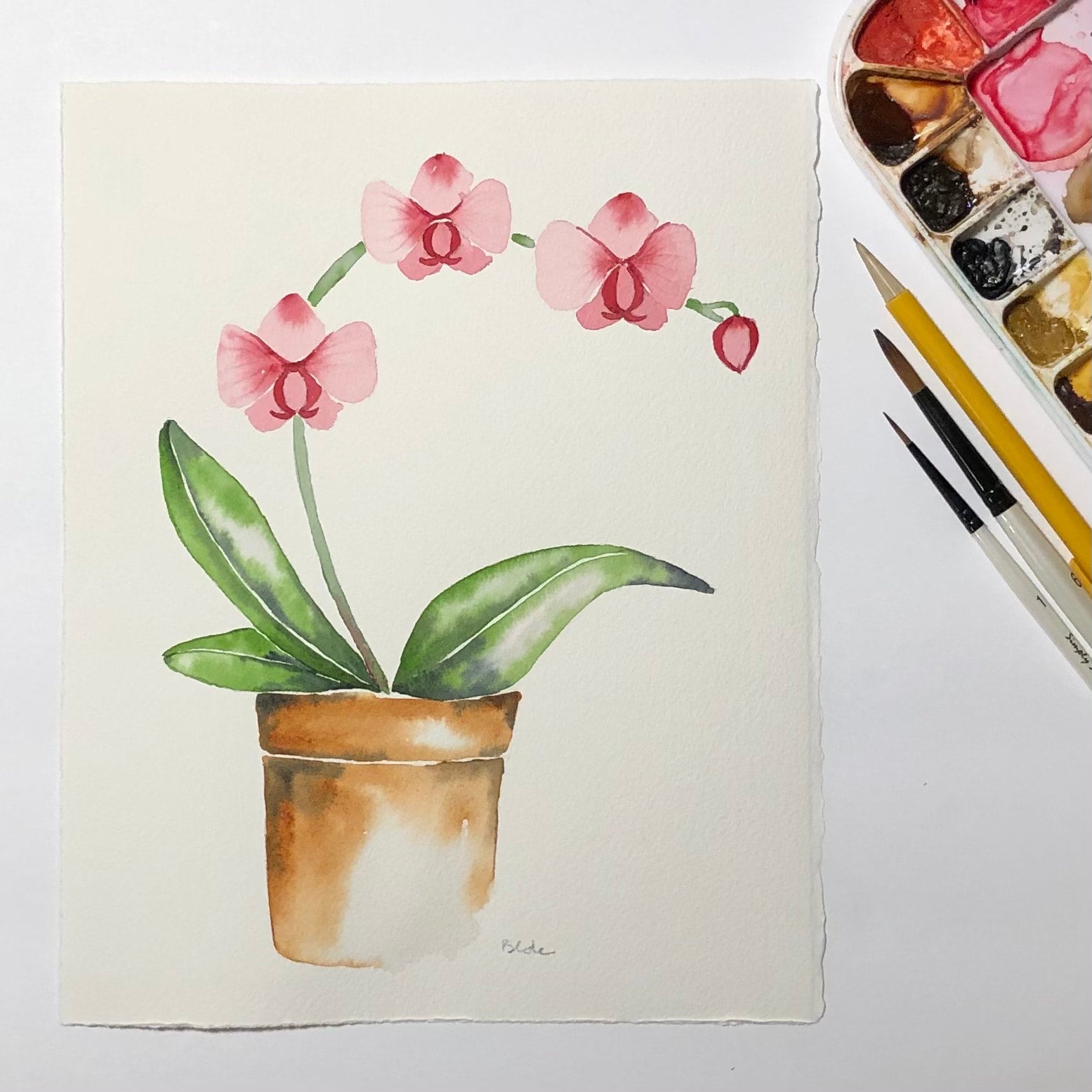 Watercolor Workshop: Orchid | Catherine Bede Gallery